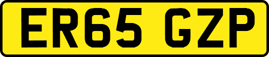 ER65GZP