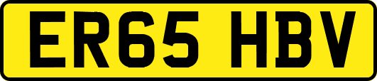 ER65HBV