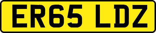 ER65LDZ