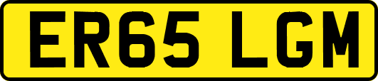 ER65LGM