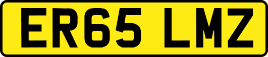 ER65LMZ
