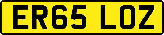 ER65LOZ