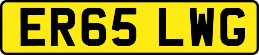 ER65LWG