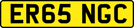 ER65NGC