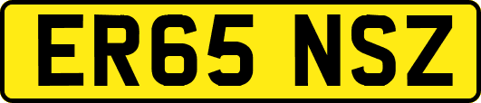 ER65NSZ