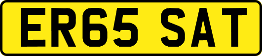 ER65SAT