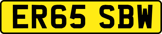 ER65SBW