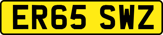 ER65SWZ