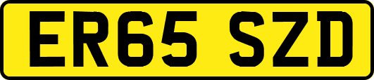 ER65SZD