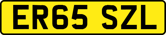 ER65SZL
