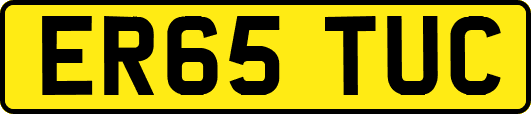 ER65TUC