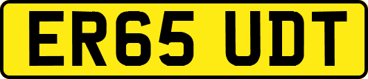 ER65UDT