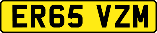 ER65VZM