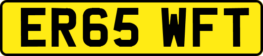 ER65WFT