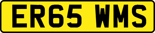 ER65WMS