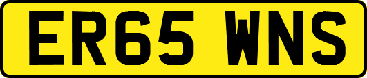ER65WNS