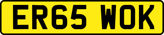 ER65WOK