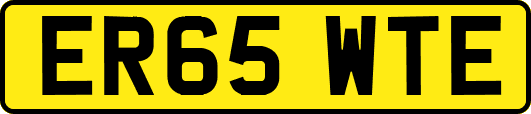 ER65WTE