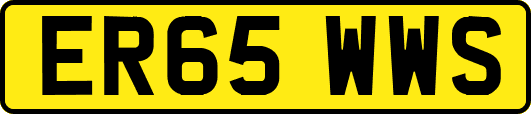 ER65WWS