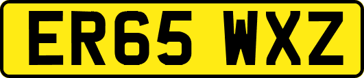 ER65WXZ