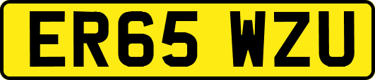 ER65WZU