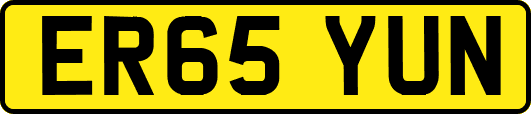 ER65YUN