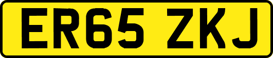 ER65ZKJ