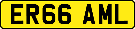 ER66AML