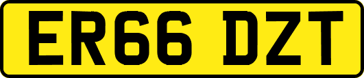 ER66DZT