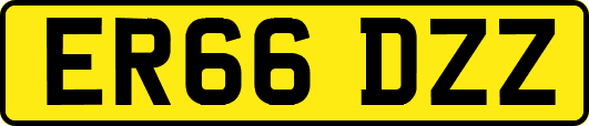 ER66DZZ