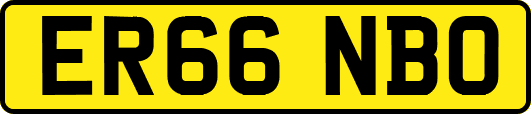 ER66NBO