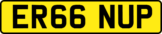 ER66NUP