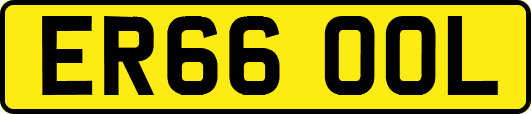 ER66OOL