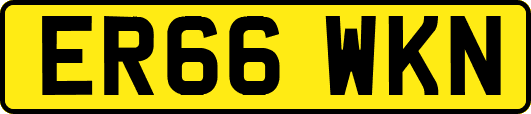 ER66WKN