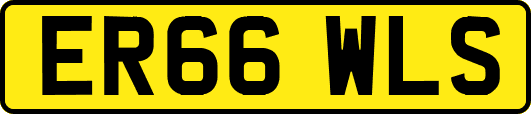 ER66WLS