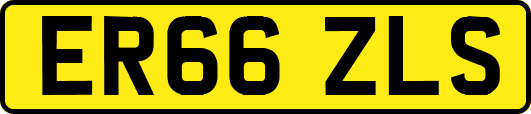 ER66ZLS