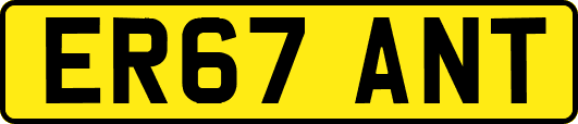 ER67ANT
