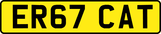 ER67CAT