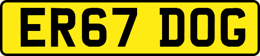 ER67DOG