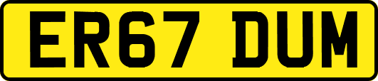 ER67DUM
