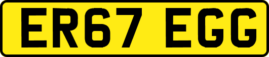 ER67EGG