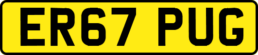 ER67PUG