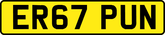 ER67PUN