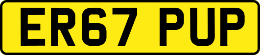 ER67PUP