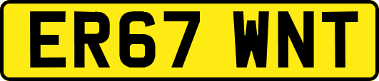 ER67WNT