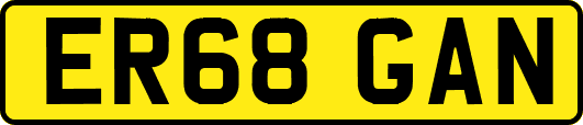 ER68GAN