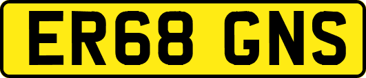 ER68GNS