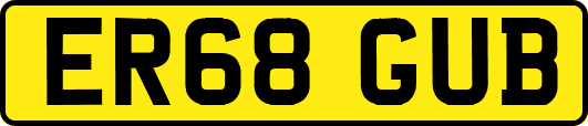 ER68GUB
