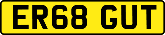 ER68GUT