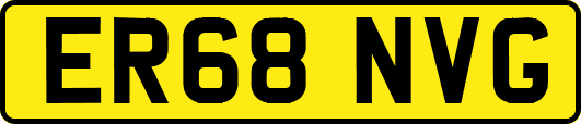 ER68NVG